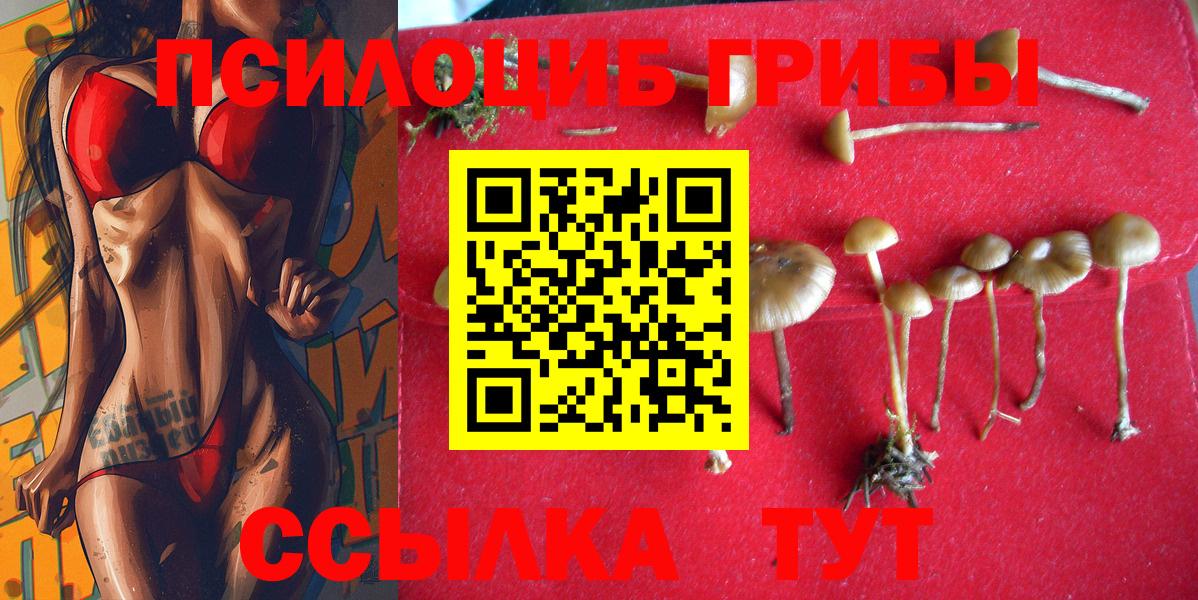 Невинномысск  Галлюциногенные грибы Psilocybe  Вход с VPN  Псилоцибиновые грибы Magic Shrooms 