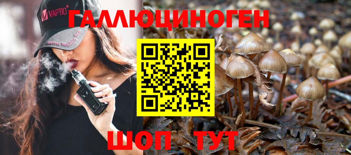 Галлюциногенные грибы мицелий Невинномысск